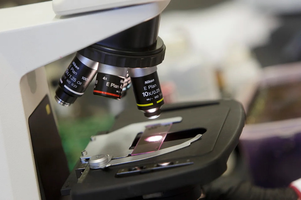 <p>Pre-Health Pathways</p>