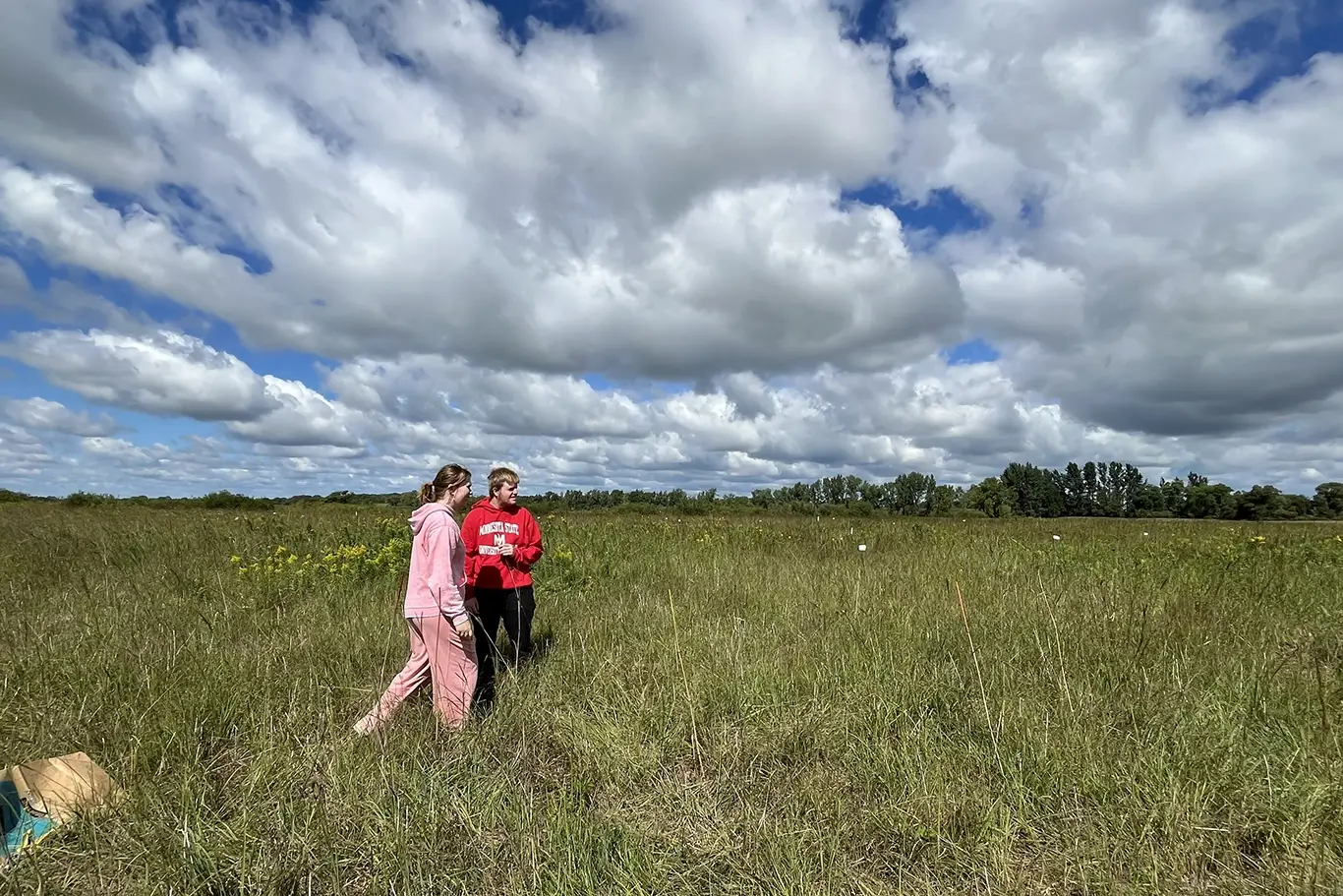 <p>Biology degree</p>