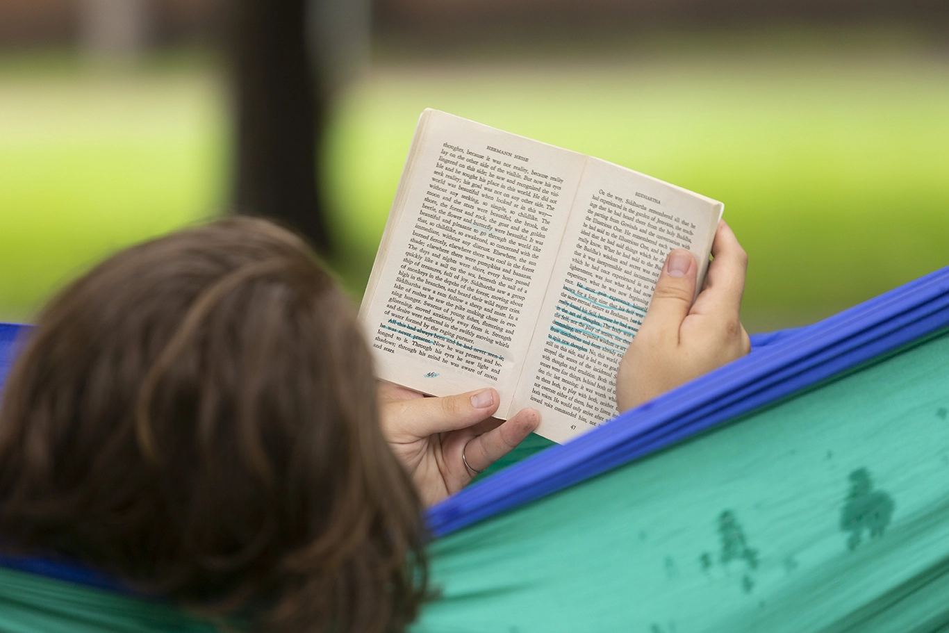 <p>English Degree</p>