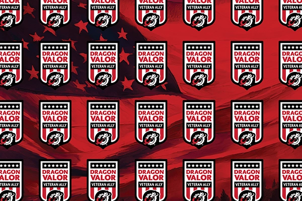 Dragon VALOR shield with red background