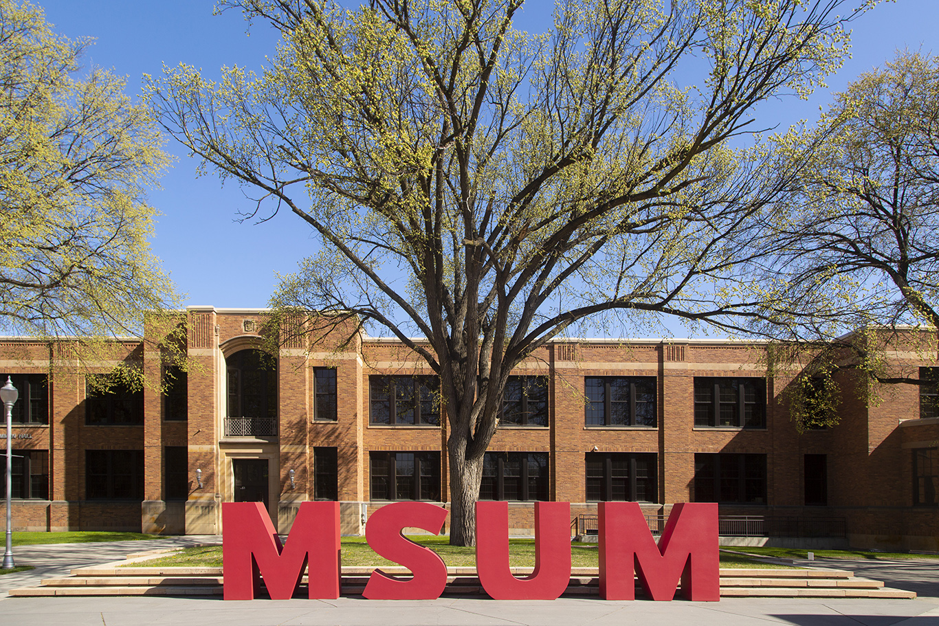 <p>MS in Cybersecurity</p>