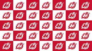 Meeting Background Red and white Dragons pattern